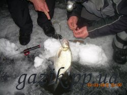 зимняя рыбалка палагевка