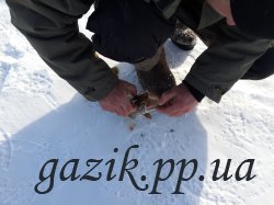Зимняя рыбалка в Палагеевке